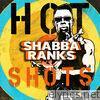 shabba ranks greatest hits 2001 rar